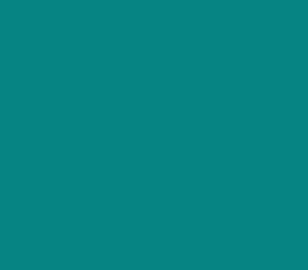 Polyester - Teal